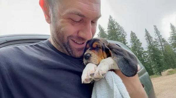 poppy a rescues fresh start