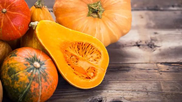 can your pets eat squash