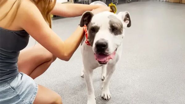 donnies foster break a taste of home