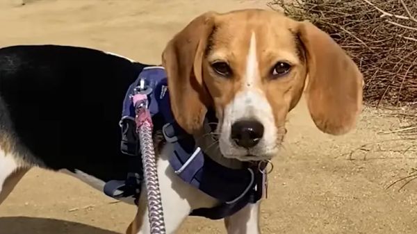 from fragile to thriving