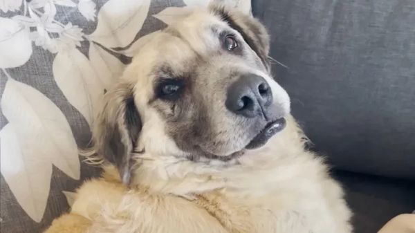 spencer from invisible to unforgettable