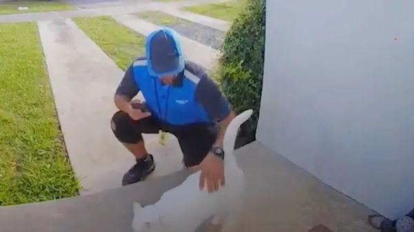 tuna the porch cat spreads love