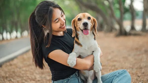 ways dogs are simpatico with humans