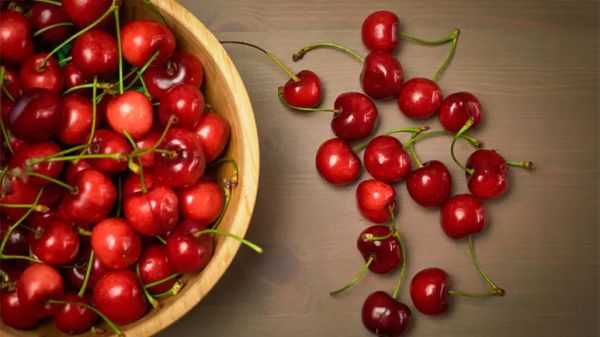 can you feed sweet cherries to your pet