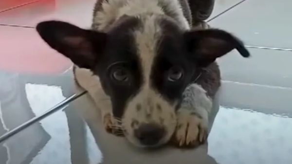 found on the road full of love