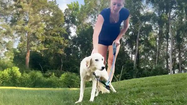 from fearful to free