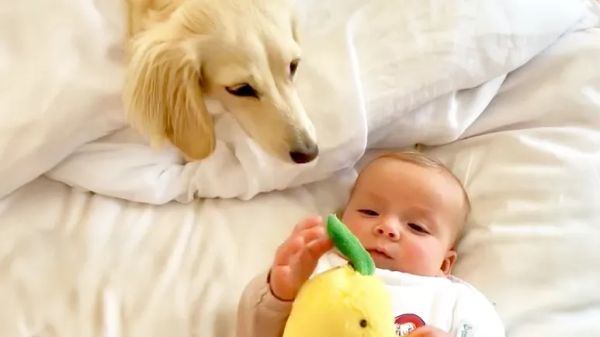 penny the tiny big sister