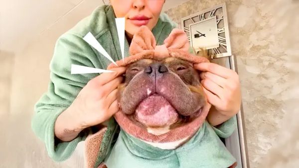 raffies pampered life