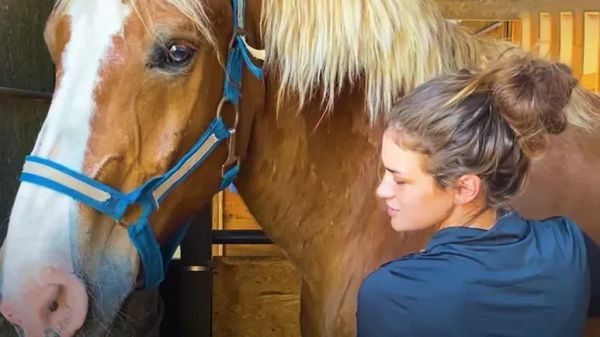 a new start for heavy hooves