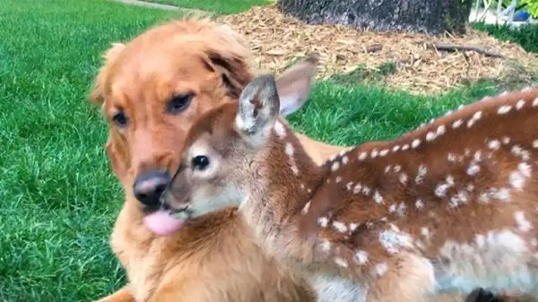 best friends for life