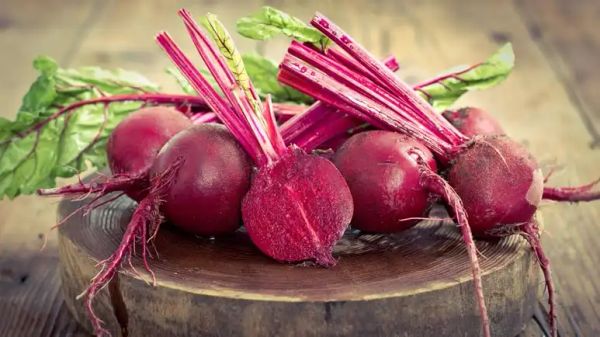 can you feed beets to your pets