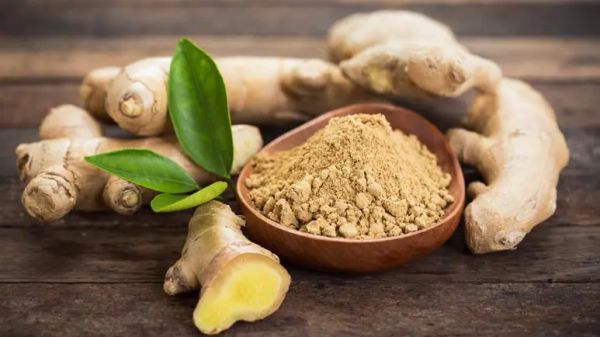 can you feed ginger to your pet