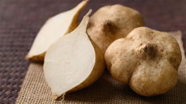 can you feed jicama to your pets