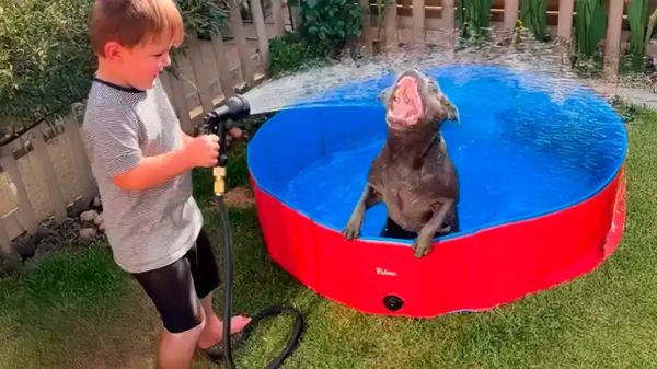 doras rainy day adventures