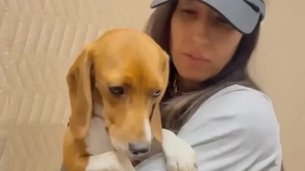 ellas journey from fear to joy