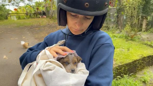 from rain to radiance