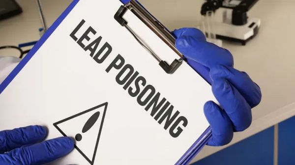 lead poisoning dogs