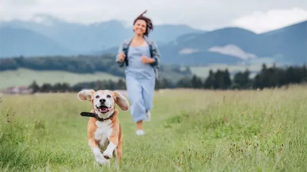 strengthen bond with your dog