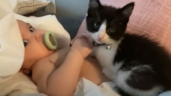 sushi and his soulmate