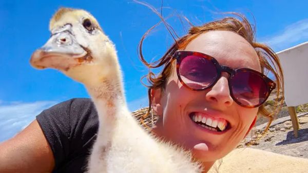 the duck who fought to live