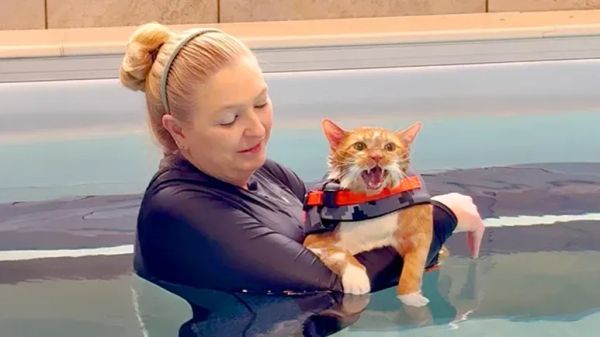 tys big transformation