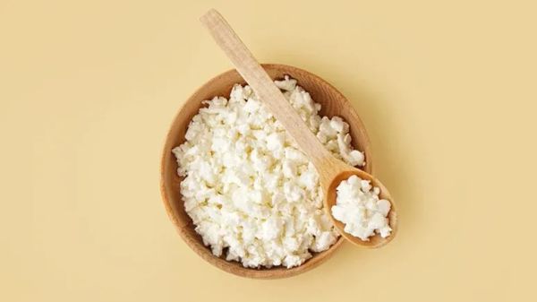 can you feed cottage cheese to your pet