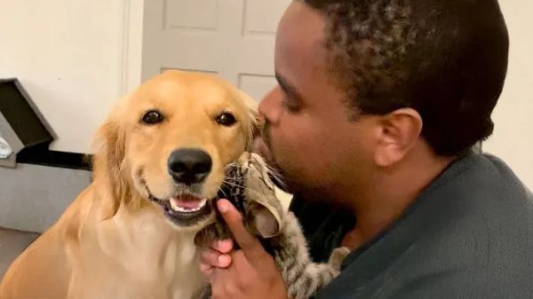 from only child to big sister