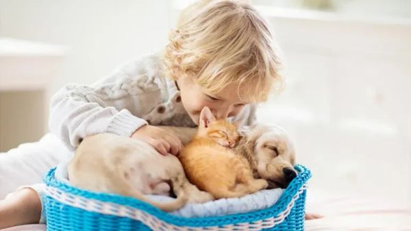 kids pets playtime safety