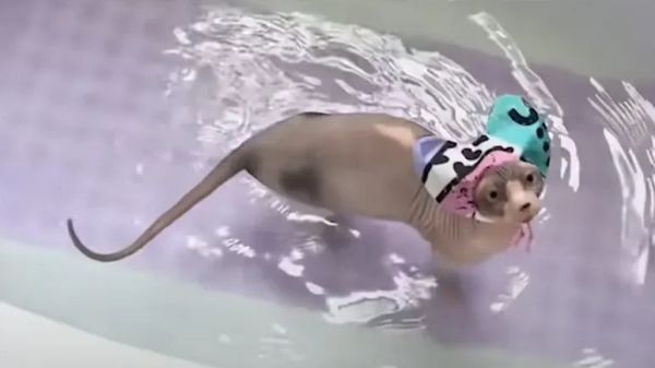 kiris bath time obsession