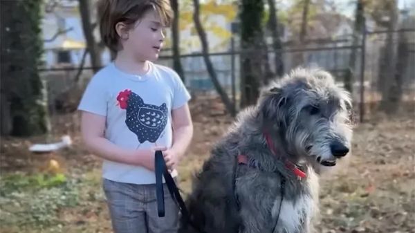 max and chicken of the sea