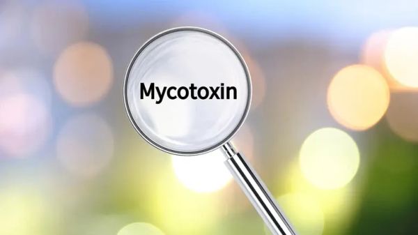 mycotoxin poisoning pets