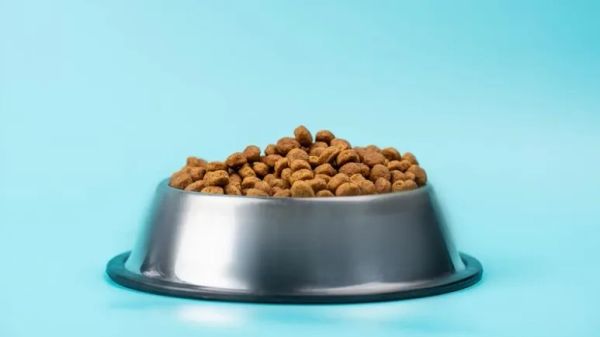 science behind pet food products
