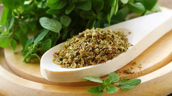 can you feed oregano to your pets