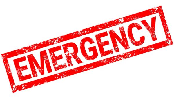 pet emergencies require immediate veterinary care