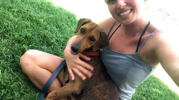 she fed the stray then realized that wasnt enough