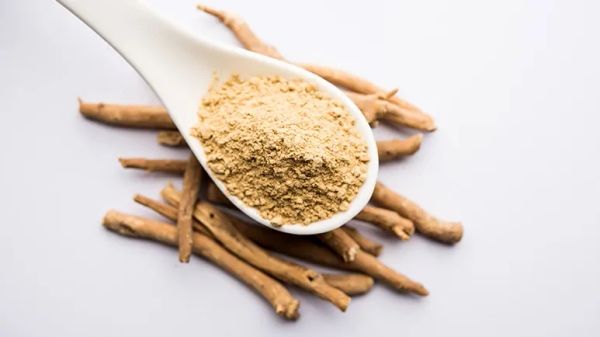 ashwagandha senior animal companions