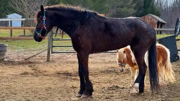 athena finds her first friend