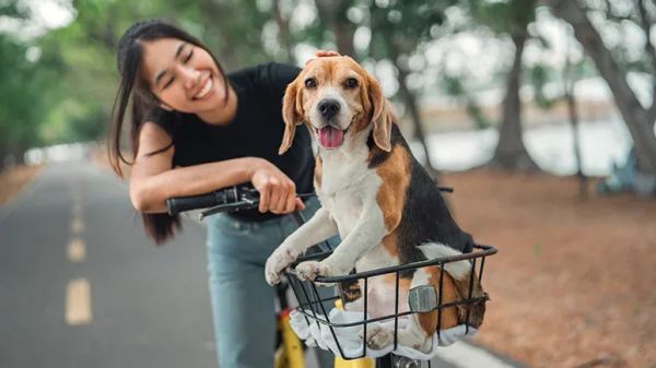 brewery offers paid pawternity leave