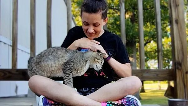 cabbit finds a home outdoors