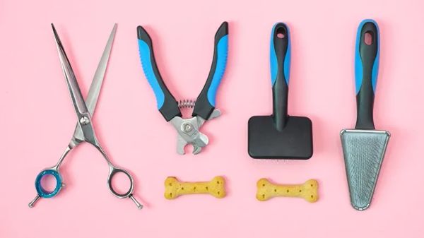 do it yourself pet care tips