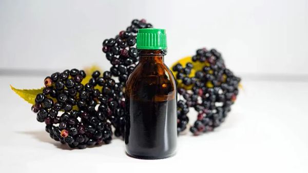 elderberry pets secret stronger health