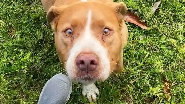 mollys new beginning