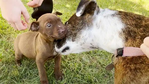 from scared to so loved