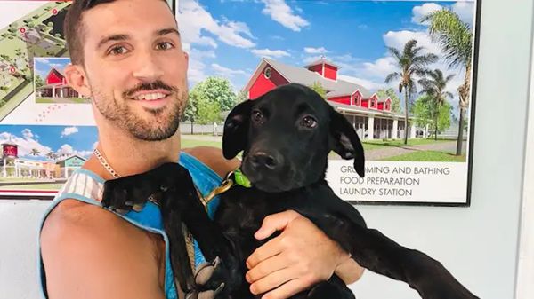 three legged dog changes his dads life