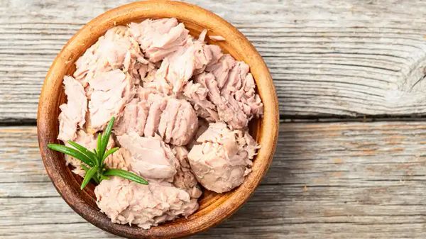 why you shouldnt feed tuna to your pets