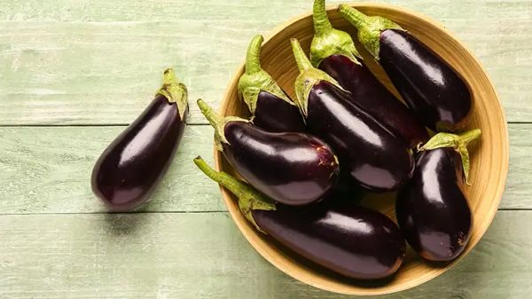 can you feed eggplant to your pet
