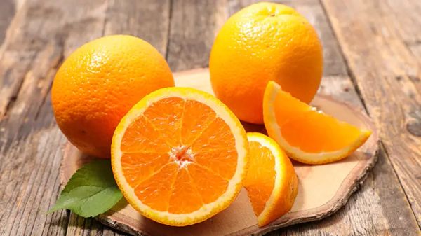 can you feed your pets oranges