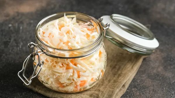 fermented food pet gut health