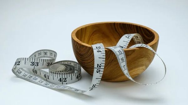 overweight pets risks