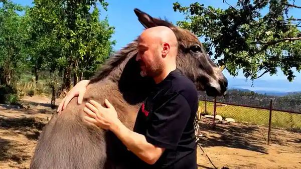 rescued donkey hugs her dad every day